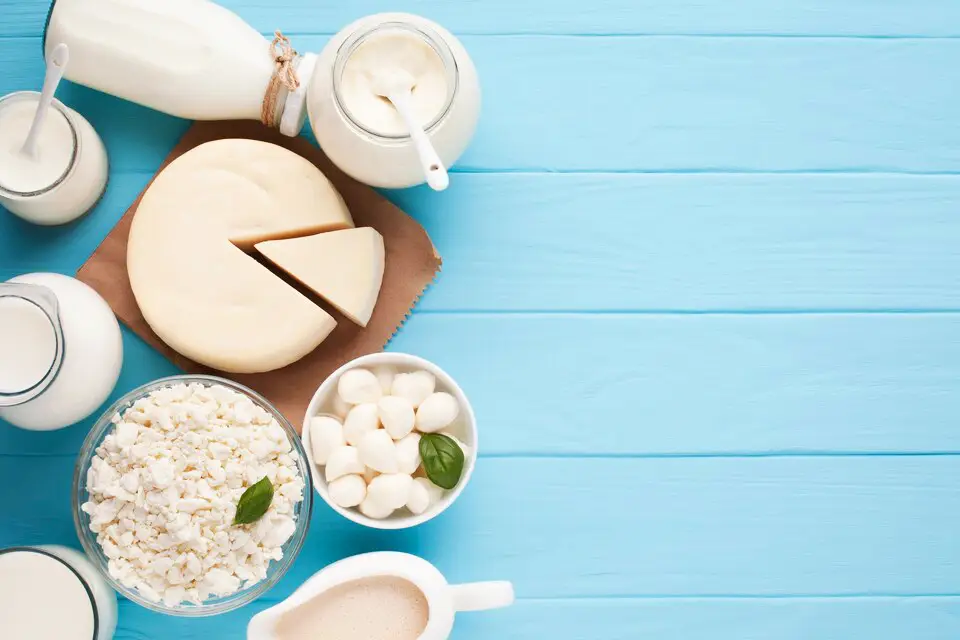 Image showcasing a variety of dairy products including Greek yogurt, cottage cheese, milk, and cheese, which are essential for a weight gain diet.
